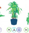Best Air-Filtering Plants, According to NASA